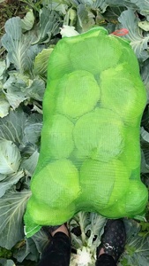 Trung Quốc đáng tin cậy nhà máy tùy chỉnh nhựa lưới túi lưới để đóng gói rau quả cam hành tây khoai tây súp lơ Đậu bắp - Product Image 5