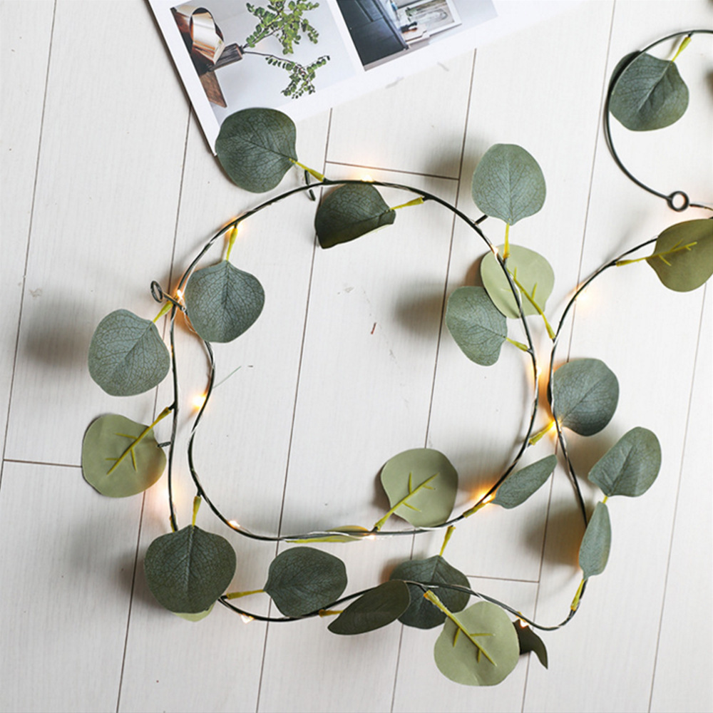 eucalyptus leaves