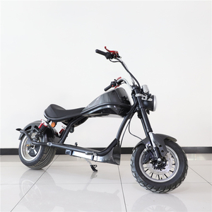 EECホールシティスポーツパワー2000W3000w <span class=keywords><strong>20</strong></span> AH 30 Ah電動自転車電動スクーター、ビッグパワービッグバッテリー付き