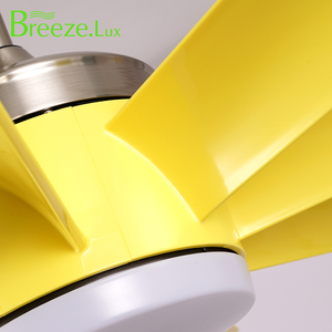 Breezelux大尺寸遥控吊扇Dc全铜电机吊扇电动家用吊扇带灯 - Product Image 5