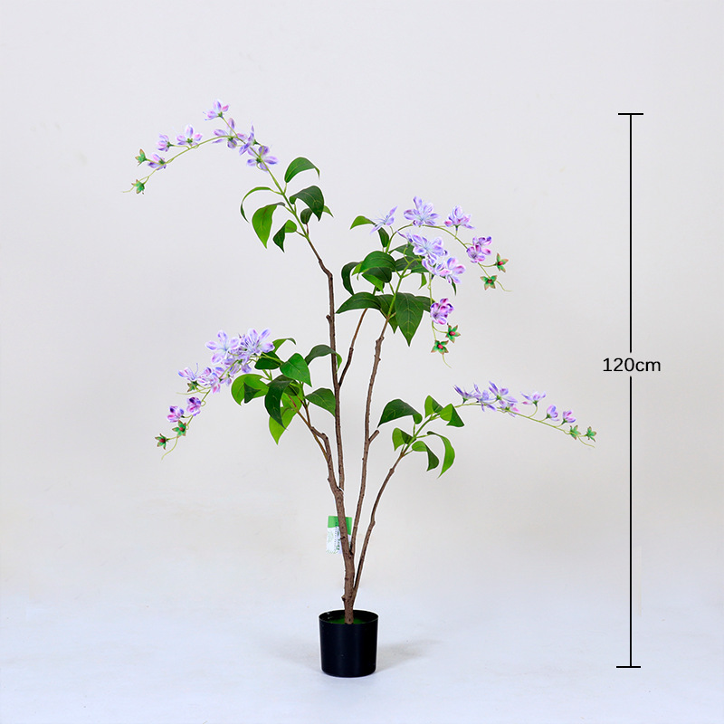 Bonsaï de jasmin pleureur violet, 120 cm