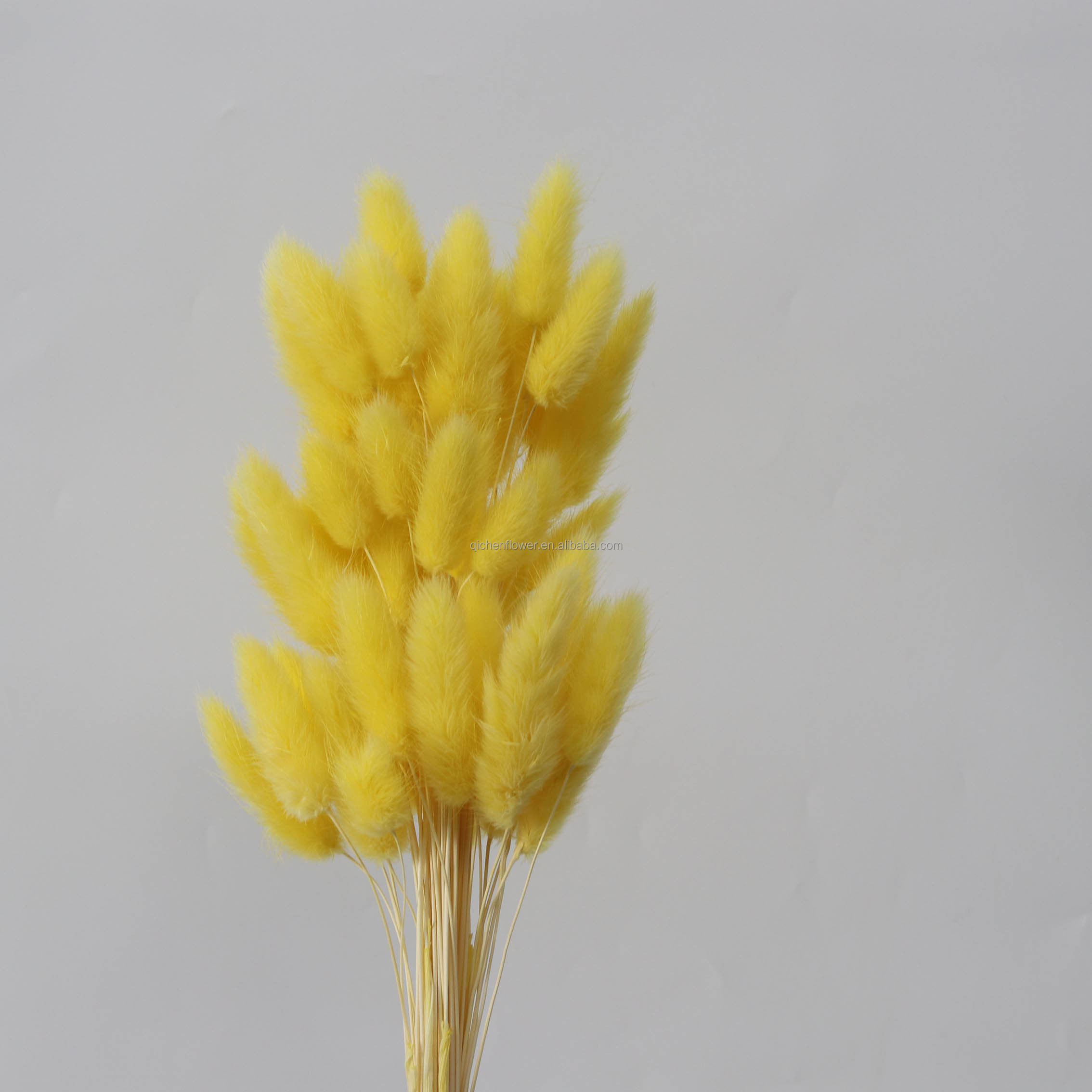 Amarillo