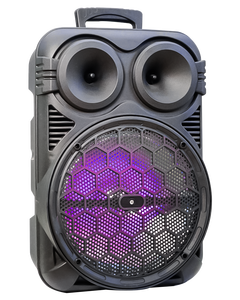 Fashion Model 12 Inch <strong>Amplifier</strong> Wired MIC Speaker with Led Display - Product Image 2