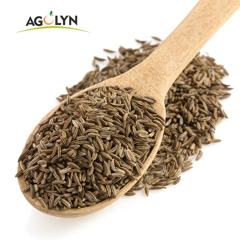 Singapore Quality Export Quality Whole Cumin of High Quality Available in China