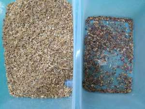 High Capacity CE Certified Factory Price <strong>Automated</strong> Dry Onion Carrot Granule Color <strong>Sorting</strong> <strong>Machine</strong> in China - Product Image 5