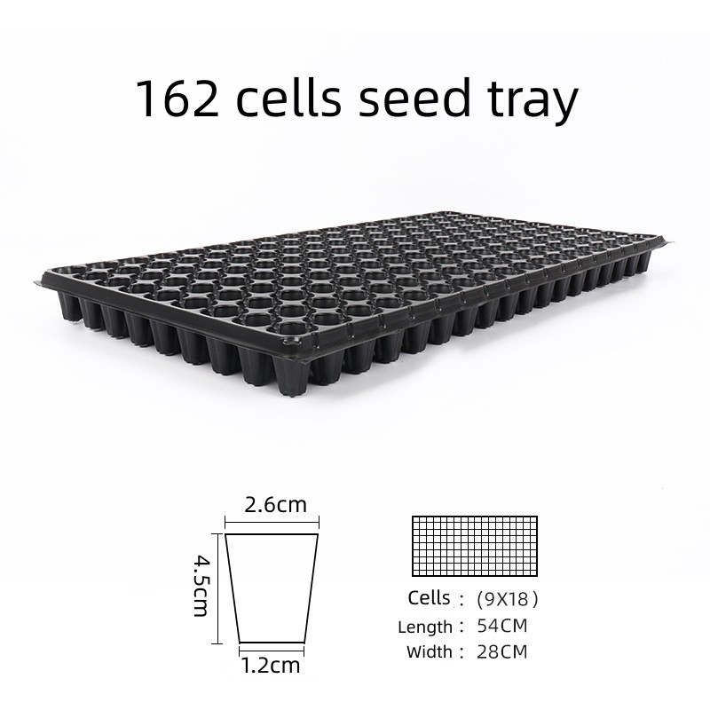 Cellule noire 162