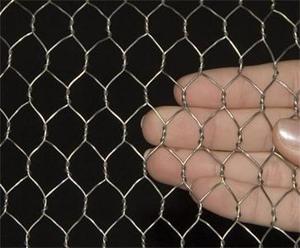 Rete metallica esagonale intrecciata tripla galvanizzata 1 pollice per il rotolo della maglia del pollo del pollame