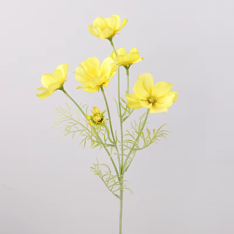 สีเหลือง