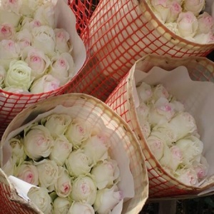 Fresh Cut Flower Transport Mesh Plastic Pick <strong>Net</strong> for Flower Harvest 1X1cm and 2X2cm Holes - Product Image 2