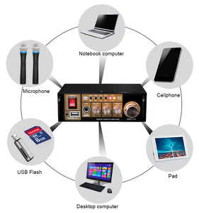 USB SD FM MIC <strong>Input</strong> AUX <strong>Input</strong> Mini Amp Nobler Iron Panel Pa Mini Digital DJ/KTV/Events Audio <strong>Amplifier</strong> - Product Image 4