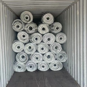 Fabbrica diretta di rotoli di rete di gabbioni in PVC di grosso calibro utilizzati per il recinto di protezione del pendio della rete di protezione della caduta di roccia