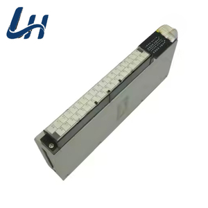 C500-OC224 programmier barer Logik-Controller mit einer Jahr-Garantie