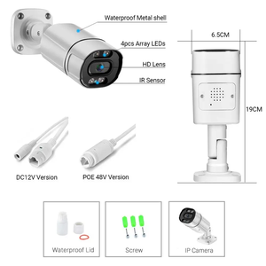 AI 2MP 5MP 8MP多面检测人脸识别IP摄像机人脸识别闭路电视摄像机，配有您自己的WebRTC服务器