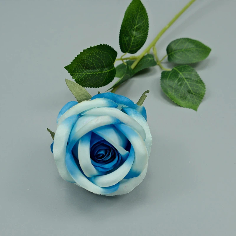 Bleu-Blanc