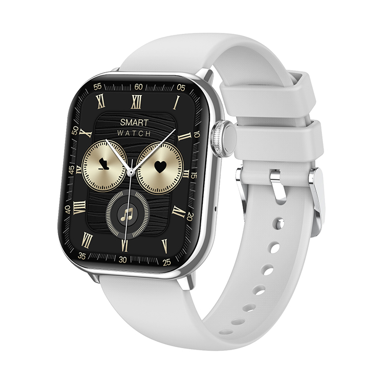 Silver+silicone strap