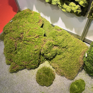工場直送シミュレーションモスブロック造園装飾シミュレーションモス芝生植毛オーナメント - Product Image 2