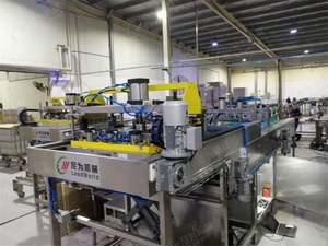 Automatic <strong>Loading</strong> and <strong>Unloading</strong> Machine for Retort Basket in Production Line - Product Image 4