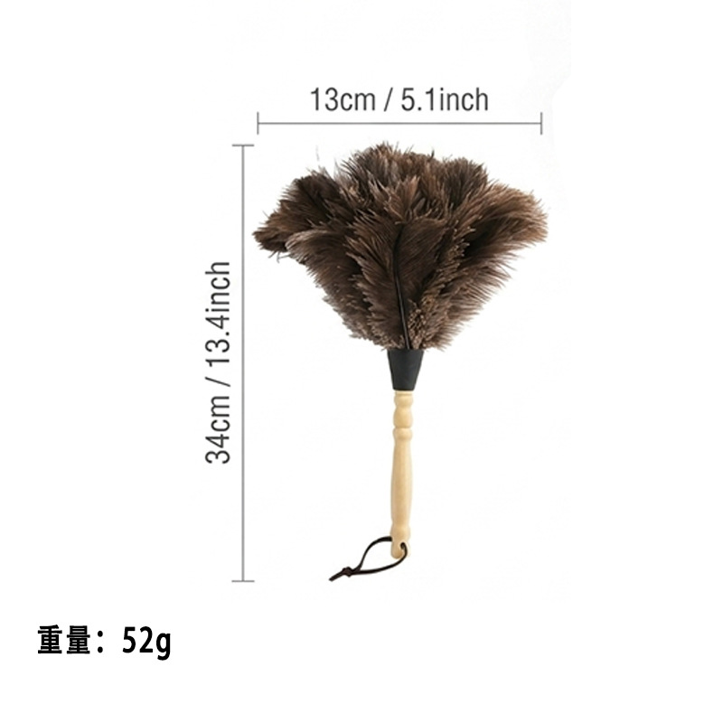 Petite brosse à poussière avec manche en bois