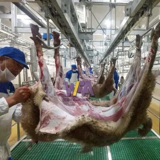 良いサプライヤー子羊羊アバトワール食肉処理場機器カーカスはヤギ食肉処理機のレールラインを伝達します