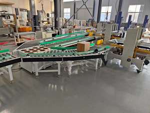 Swing Direction Diversion <strong>Automation</strong> Logistics Express Package Conveyor Automatic <strong>Sorting</strong> <strong>Machine</strong> - Product Image 6