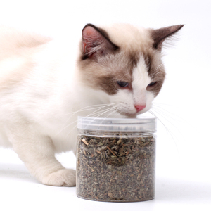 2024 Suministro de fábrica para mascotas, la hierba gatera natural más vendida, juguete para gatos, menta seca, Hojas de hierba gatera triturada - Product Image 1