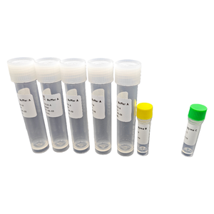 Kit dissociazione gastrointestinale (TEST 10) dissociazione tessuto per ricerca ISO 9001 BA3316 - Product Image 4