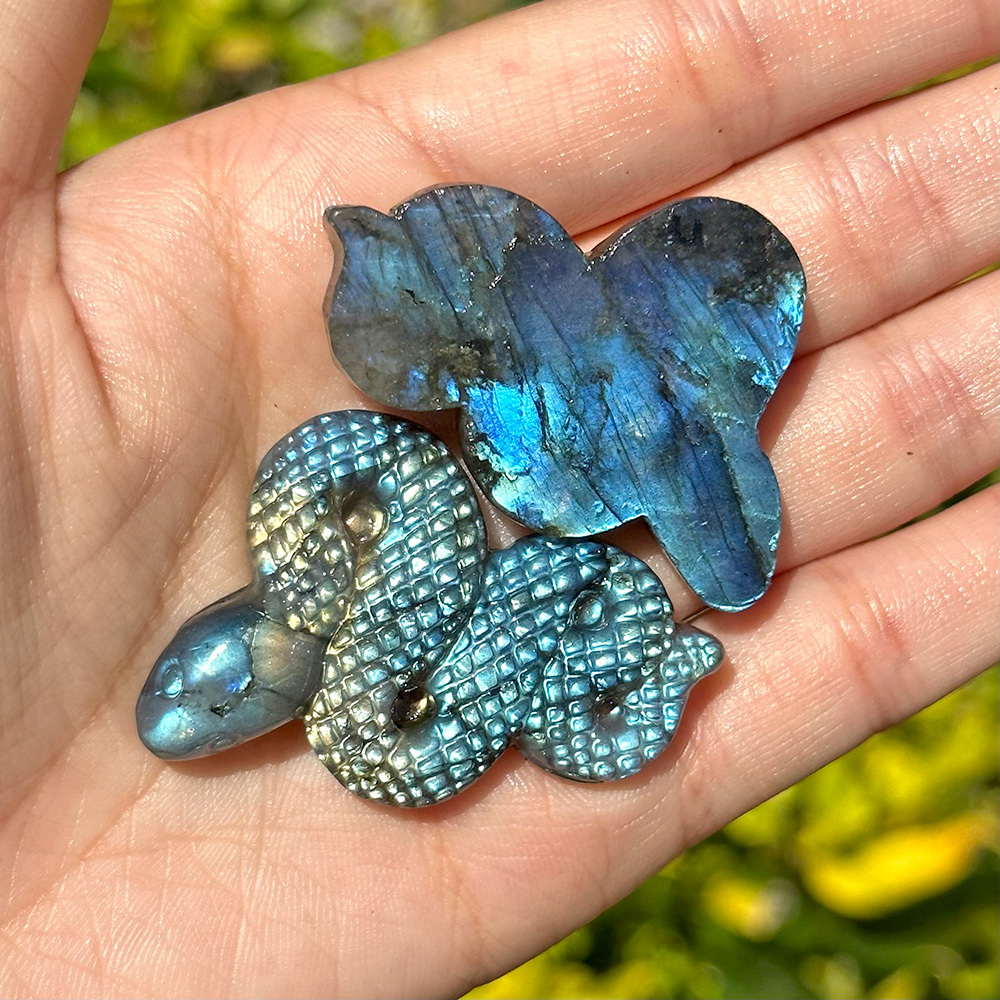 Snake