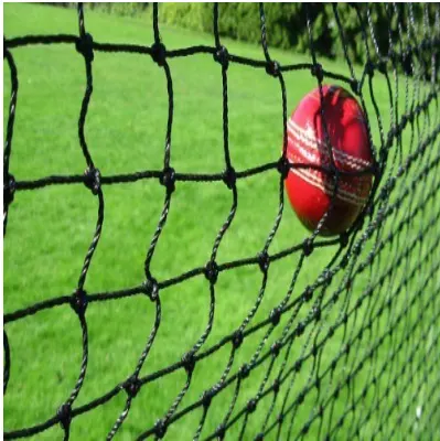 Ağır kriket topu dur koruma ağı kriket netleştirme ve yüzey
