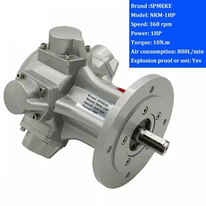 SPMEKE pistonlu hava motoru NKM-1HP mikser patlamaya dayanıklı motor çeşitli kurulum yöntemleri - Product Image 5