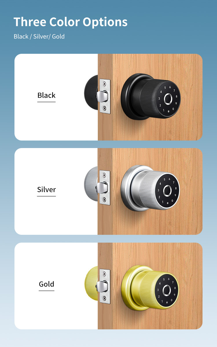 Luxury TTlock APP Digital Door Knob Rfid Card Key Digit Fingerprint Smart Lock