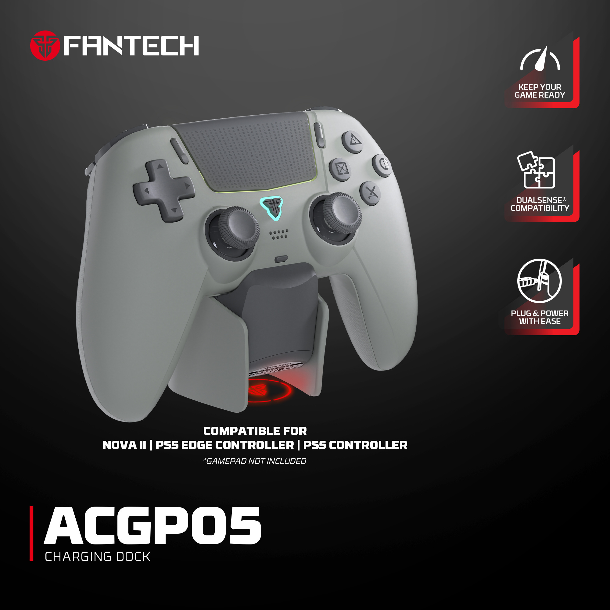 ACGP05-Gray