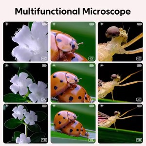 Çin yapılan OEM/ODM 8LED ışık ile çocuk oyuncakları mikroskop 2MP makro Lens IPS ekran 500X Zoom Mini dijital mikroskop çocuklar için - Product Image 2