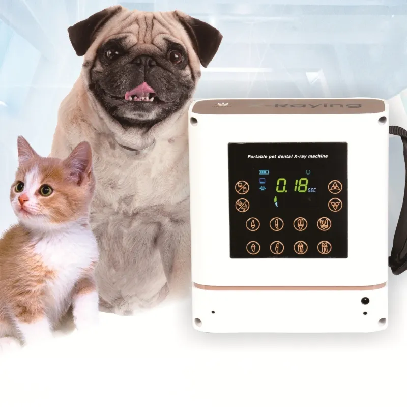 THR-XR-D02 medico veterinario ad alta frequenza dentale orale portatile macchina a raggi X in vendita