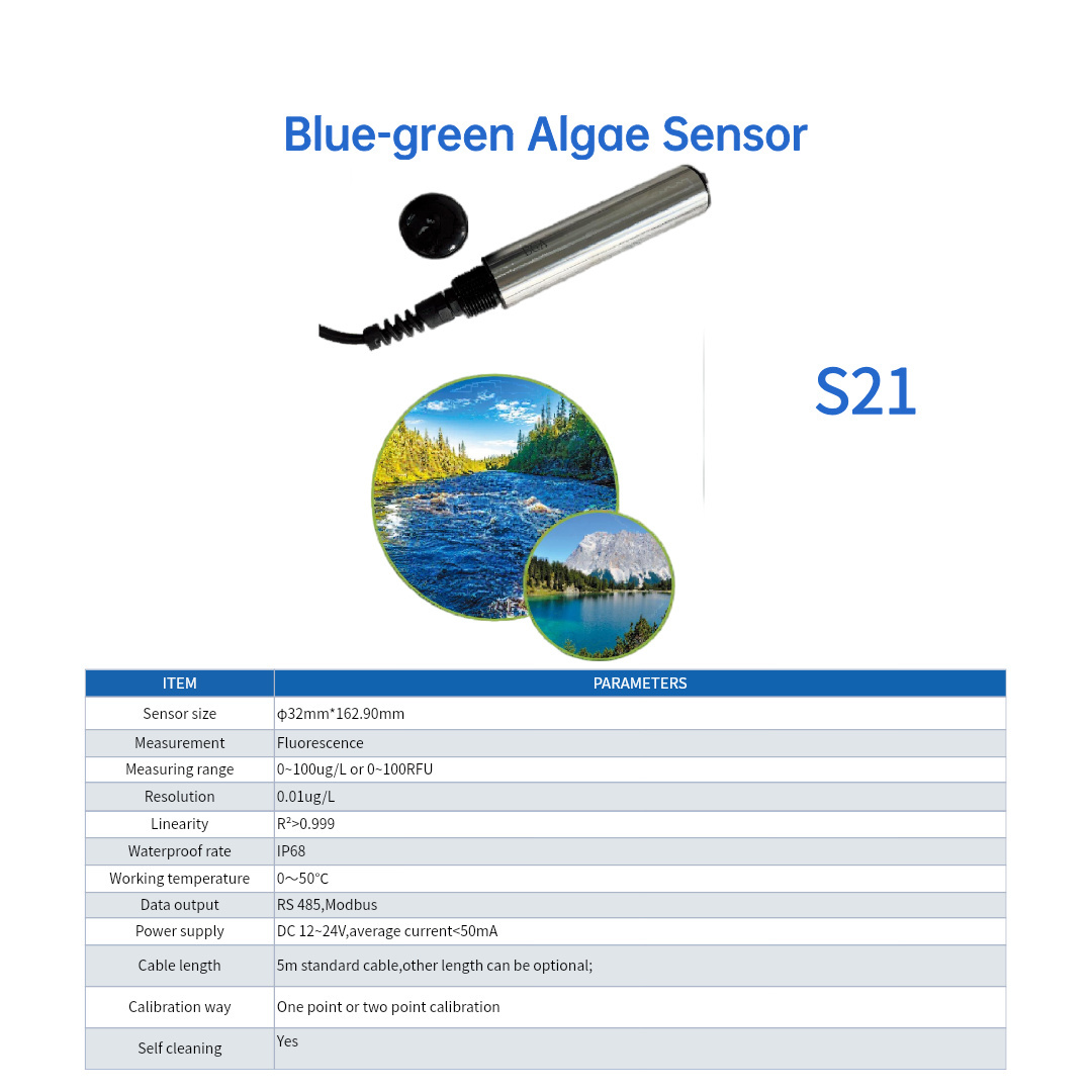 Capteur d'algues bleu-vert