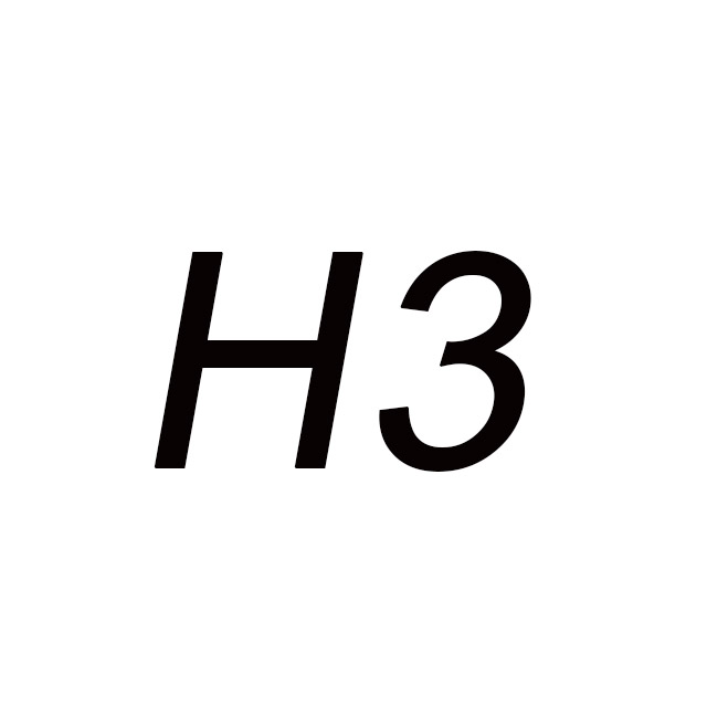 H3