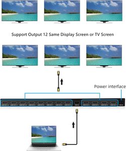 SY 1 en 12 out 4K HDMI divisor duplicador/distribuidor duplicado/Pantalla de espejo, soporte 3D adecuado para exposición, Ver 1,4
