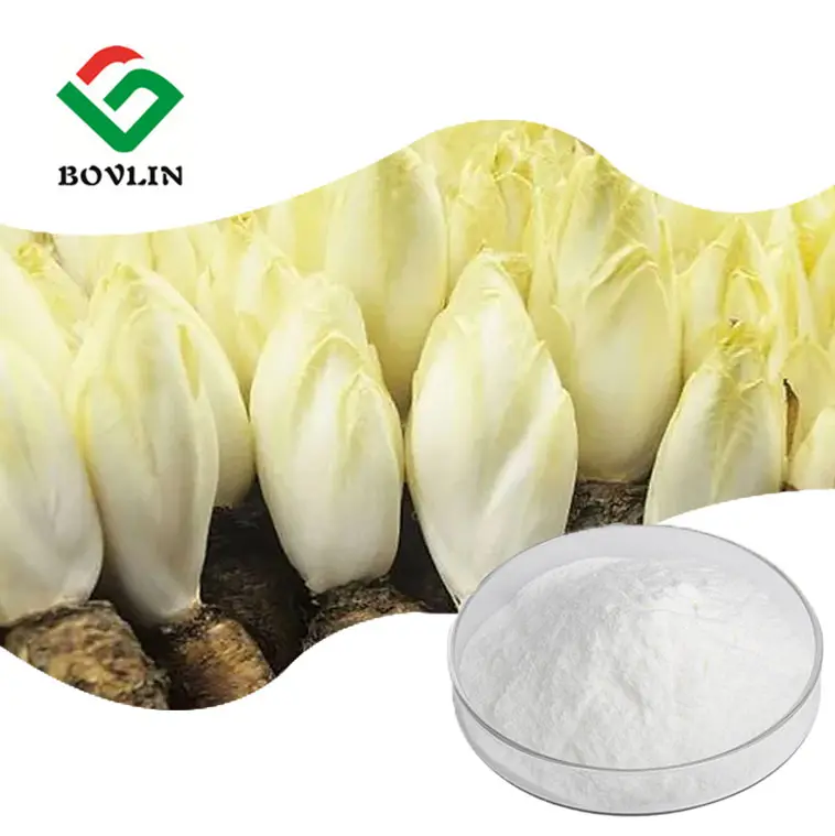 Inulin rau diếp xoăn chiết xuất từ rễ bột hữu cơ Inulin bột