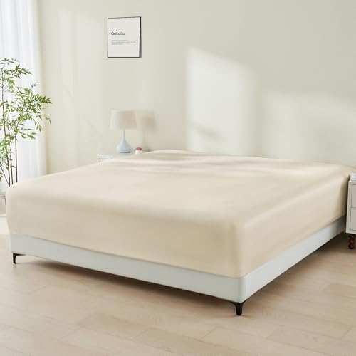 06 beige clair