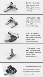 Modulo lineare ad alta precisione xyz modulo di movimento lineare Robot cartesiano per l'automazione industriale - Product Image 6