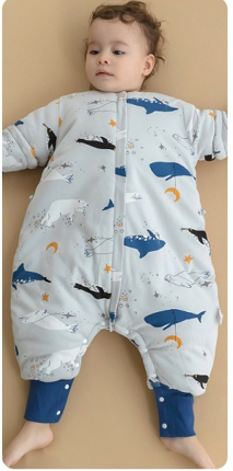 Un rêve de baleine poisson