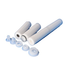 <strong>10</strong> Inch 0.2 Micro Polyethersulfone (PES) Water Cartridge Filters with 220V Filter Housing Essential for Purification - Product Image 1