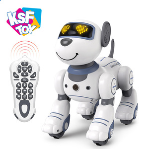 Robot inteligente de Control remoto con Control remoto para perros, Robot de Control remoto con Control remoto, 2022