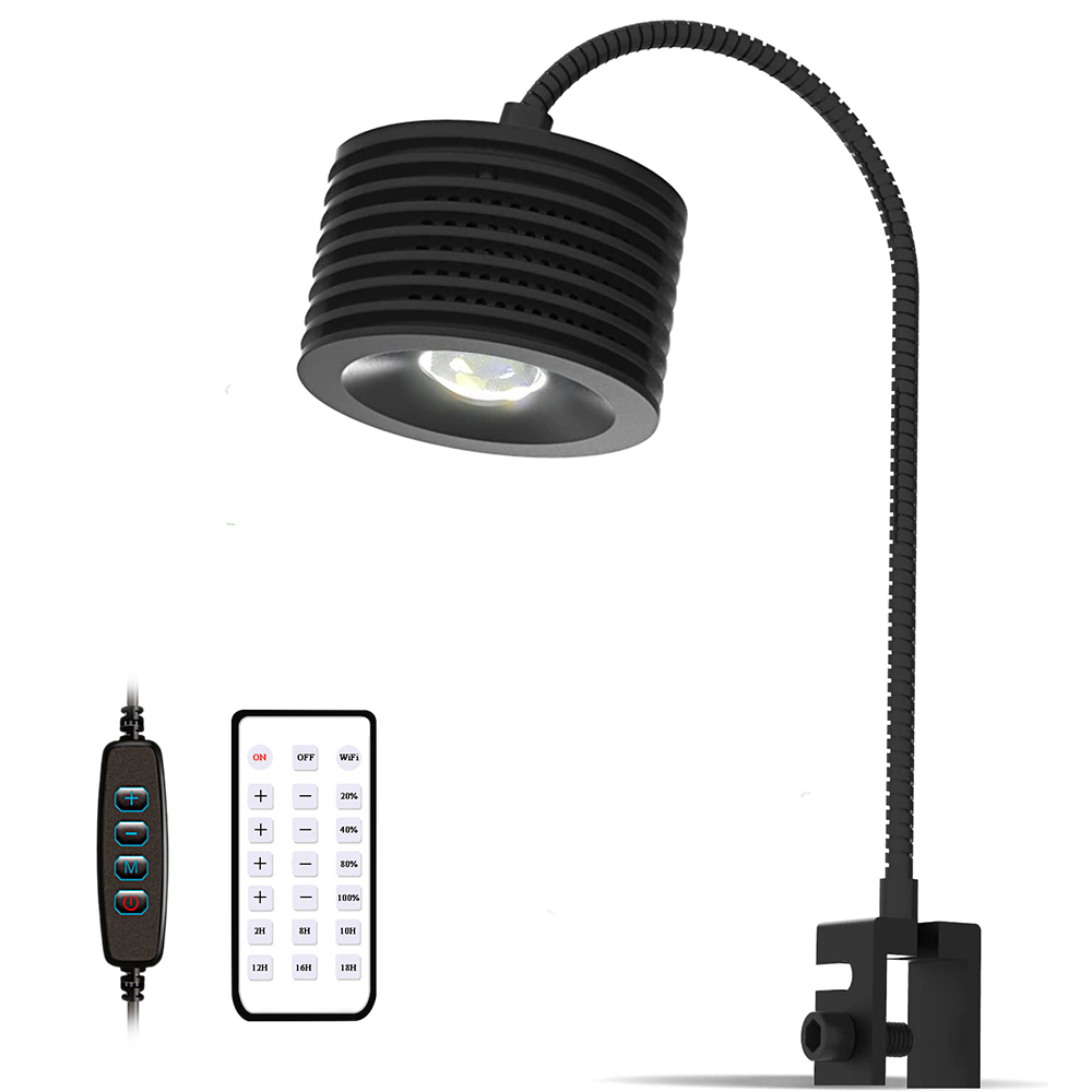 Lumière