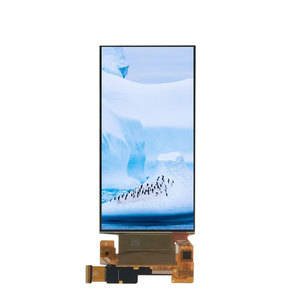 Pantalla LCD de 6 pulgadas 1080x1920 Alto brillo Módulo LCD de 40 pines - Product Image 2