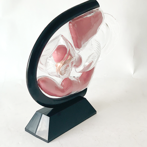医疗科学妇人科デモンストレーションと教育のための女性の透明な子宮モデル - Product Image 5