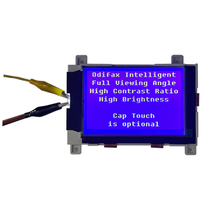 130.1 personalizzato * 102.7mm 6:00 visualizzazione segmento STN modulo LCD con ingresso 3.3V
