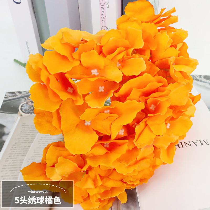 5 gros hortensias orange