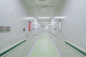 Construcción e instalación de sala de operaciones limpia de flujo de aire laminar libre de polvo Clase 100 en proyecto GMP de alimentos y cosméticos