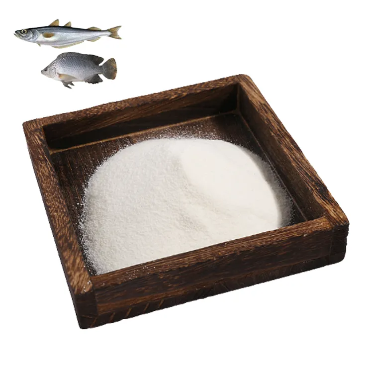 Polvo de proteína de colágeno para piel de pescado marino, antienvejecimiento