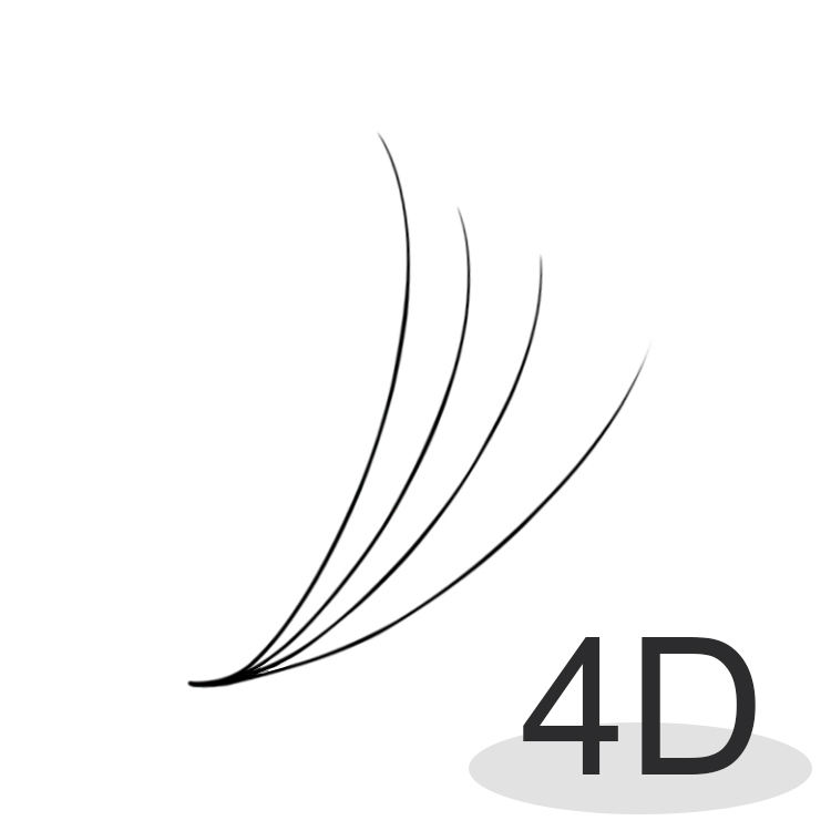 4D